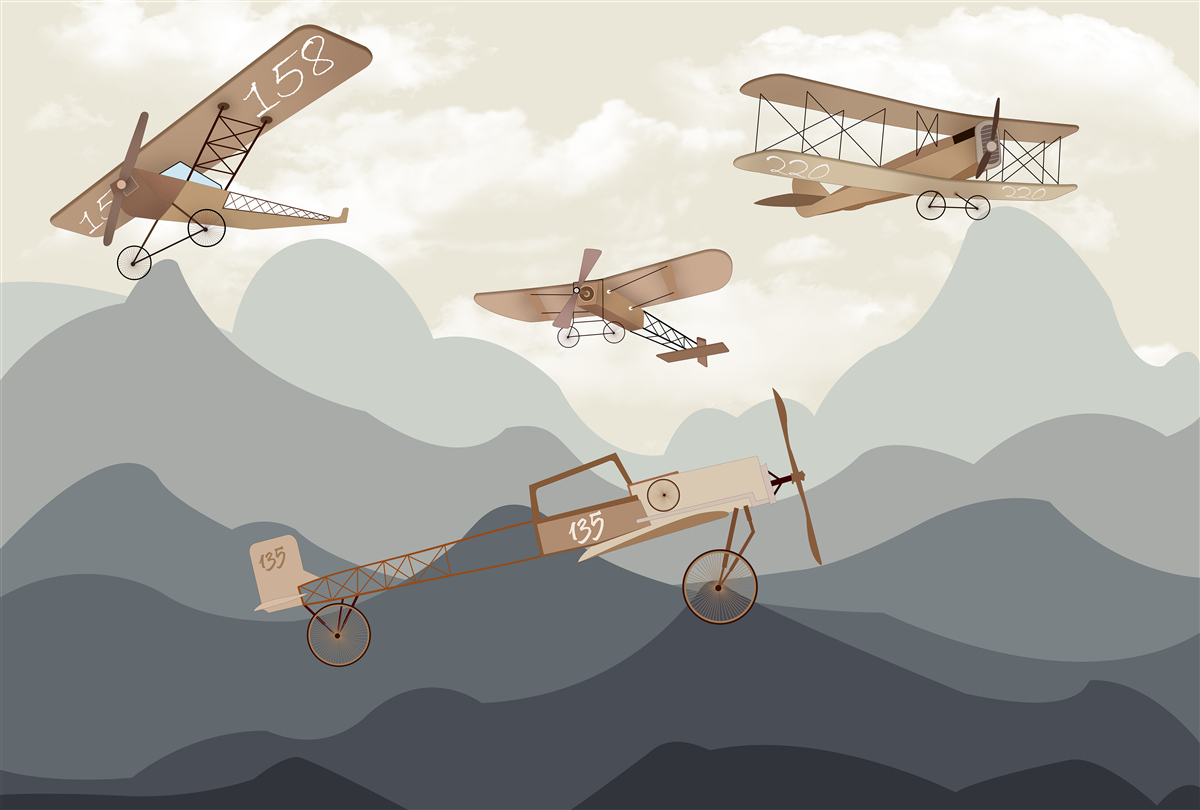 Fototapet zboruri cu aeronave de epocă