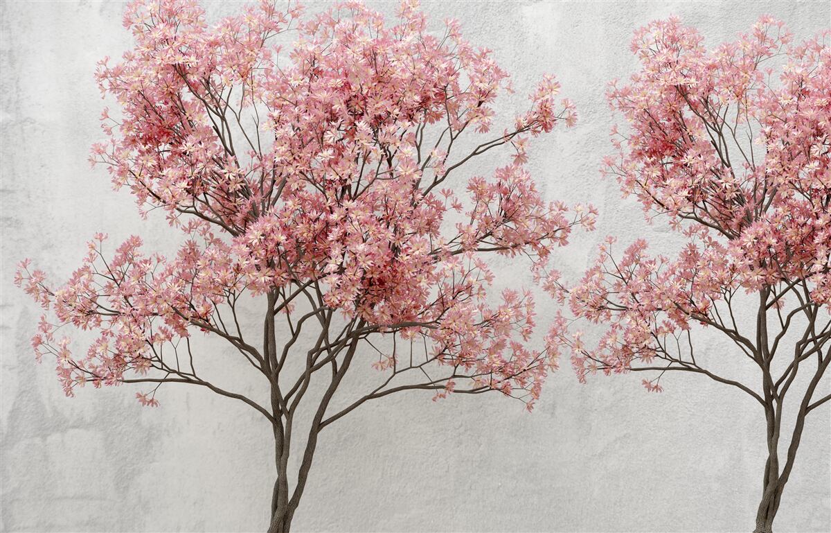 Fototapet ceața dimineții înconjoară florile roz sakura