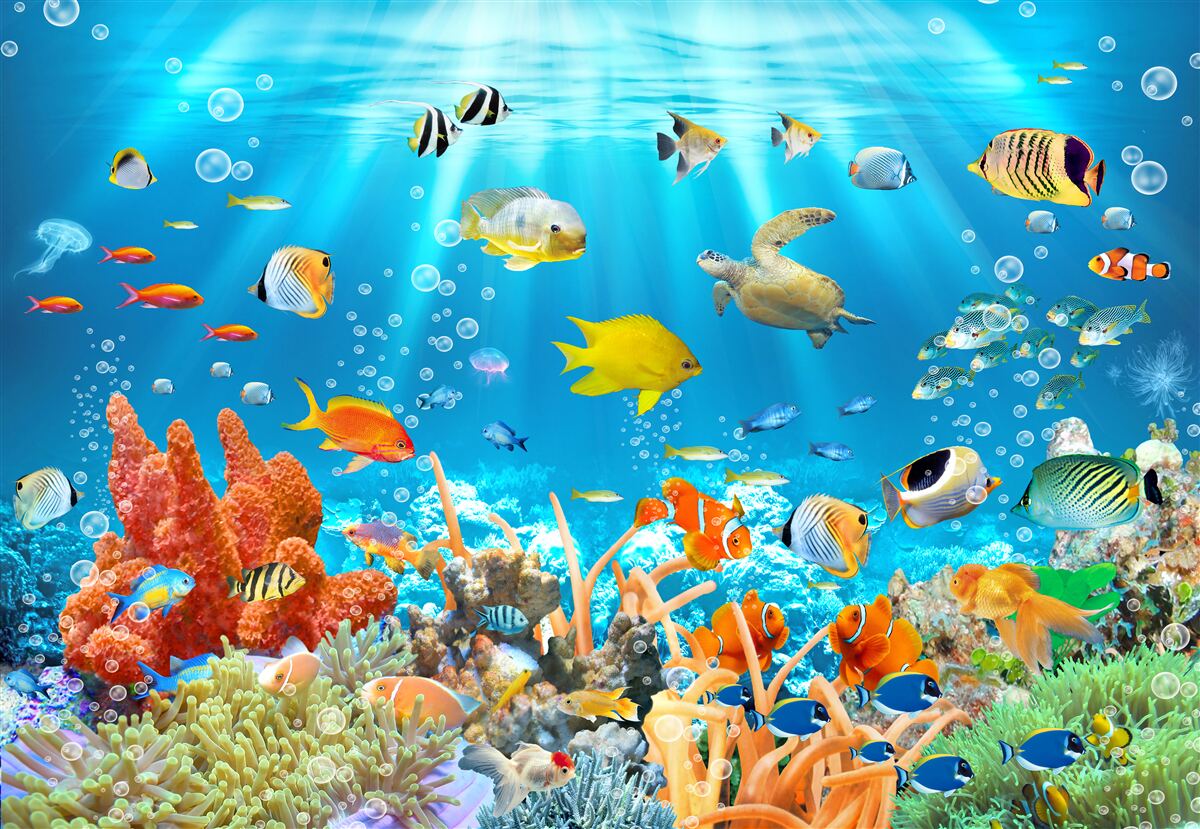 Fototapet lumea vibrantă a adâncurilor subacvatice