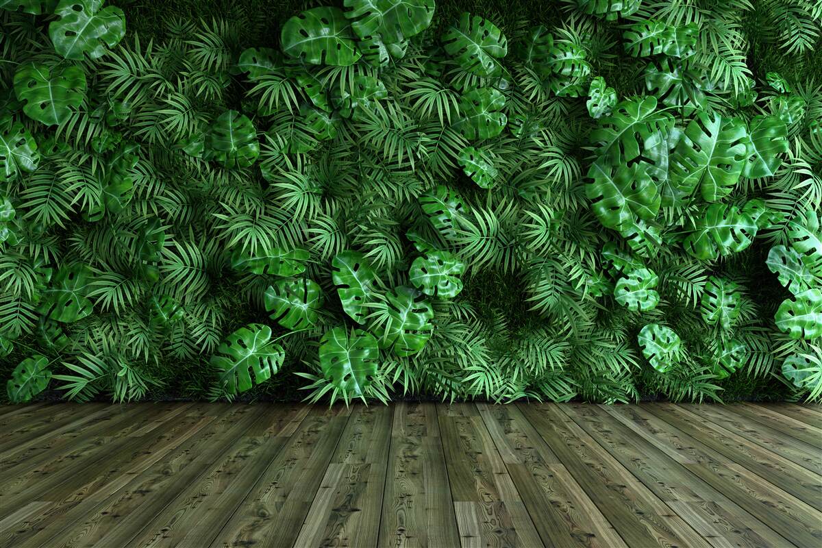 Fototapet verde, plante și frunze