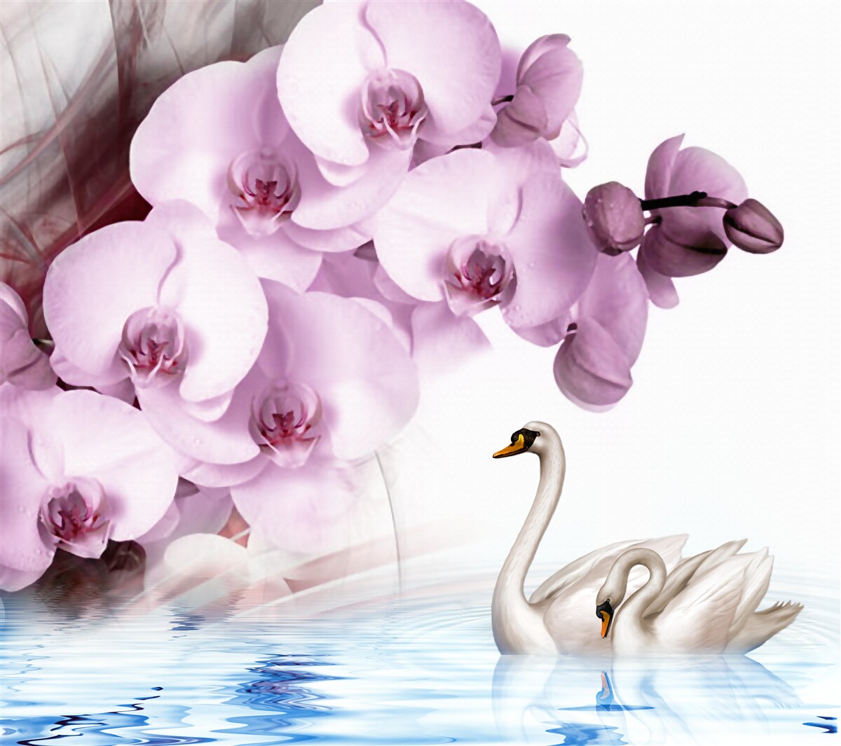 Fototapet lebede pe suprafața apei și o floare delicată de orhidee liliac