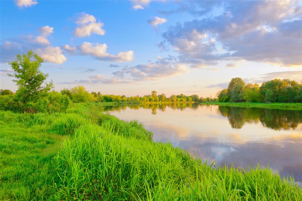 Fototapet râu calm lângă o pajiște verde