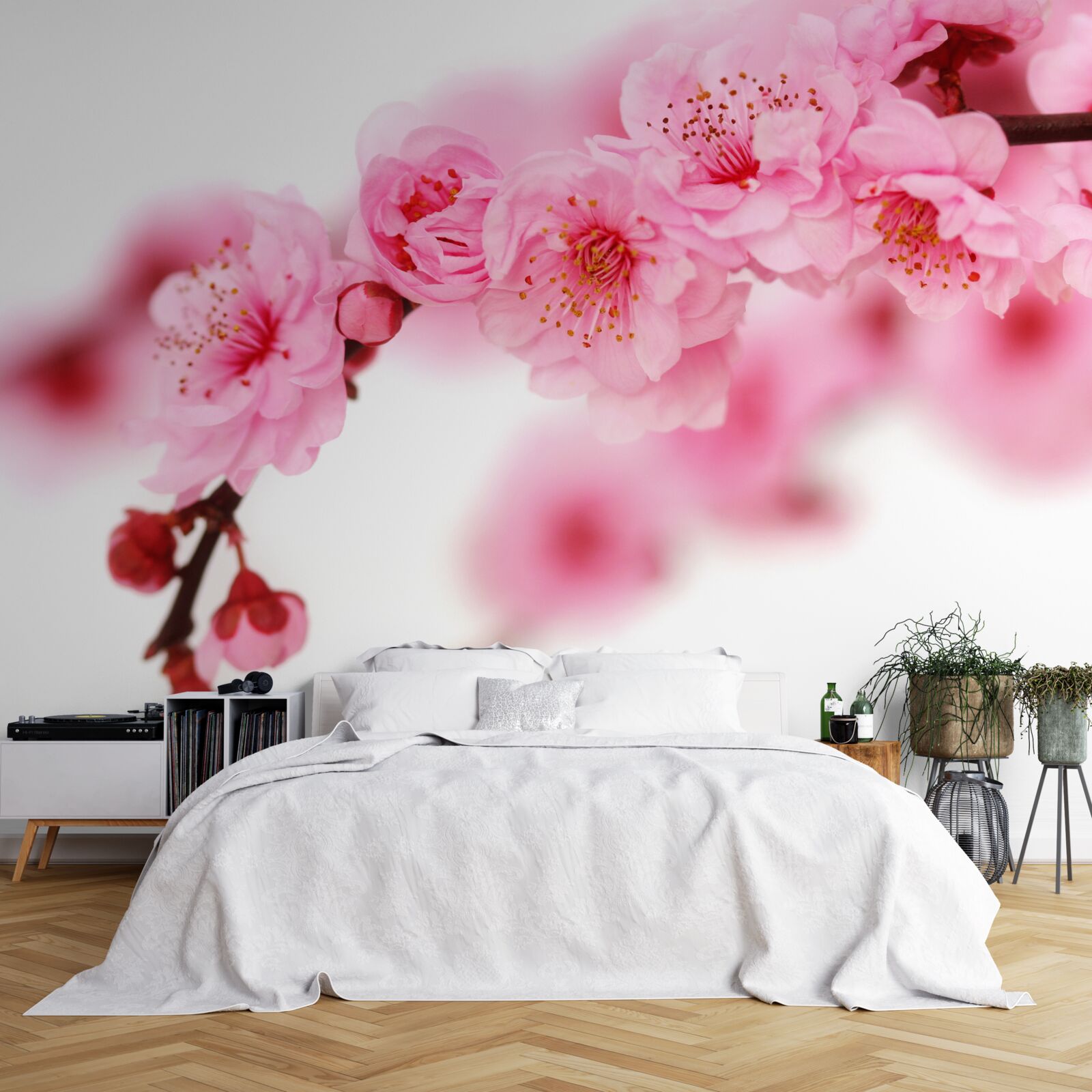 Fototapet filiala pink sakura se află lângă apă