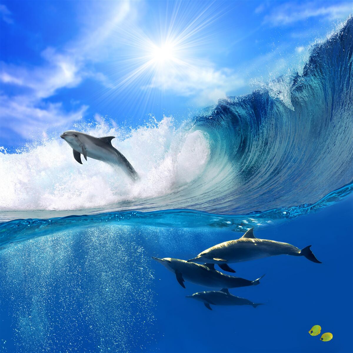 Fototapet apele oceanice locuite de delfini