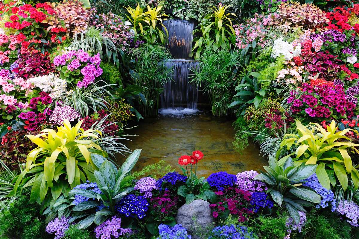 Fototapet flori tropicale lângă o cascadă de munte