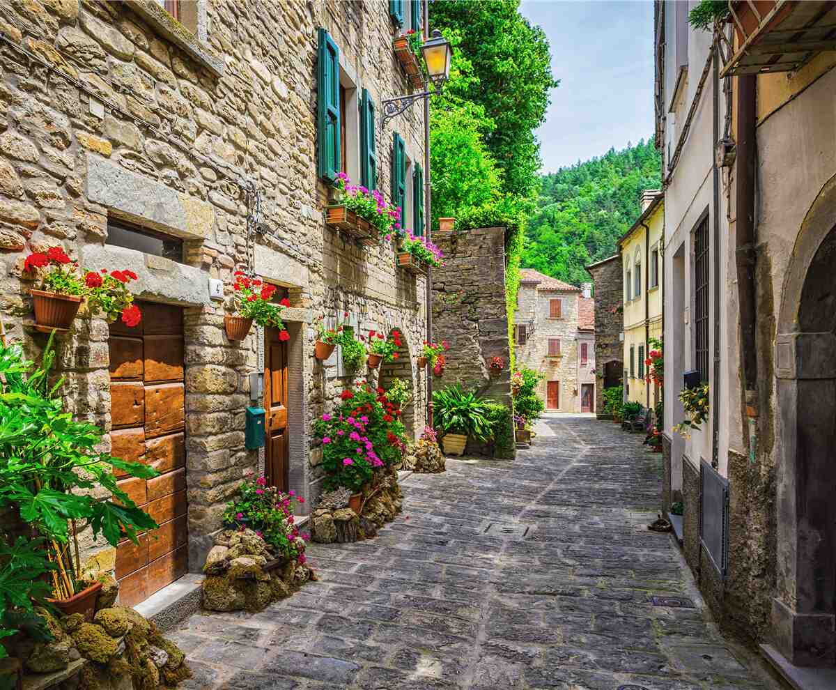 Fototapet strada veche din piatră a orașului, înconjurată de verdeață