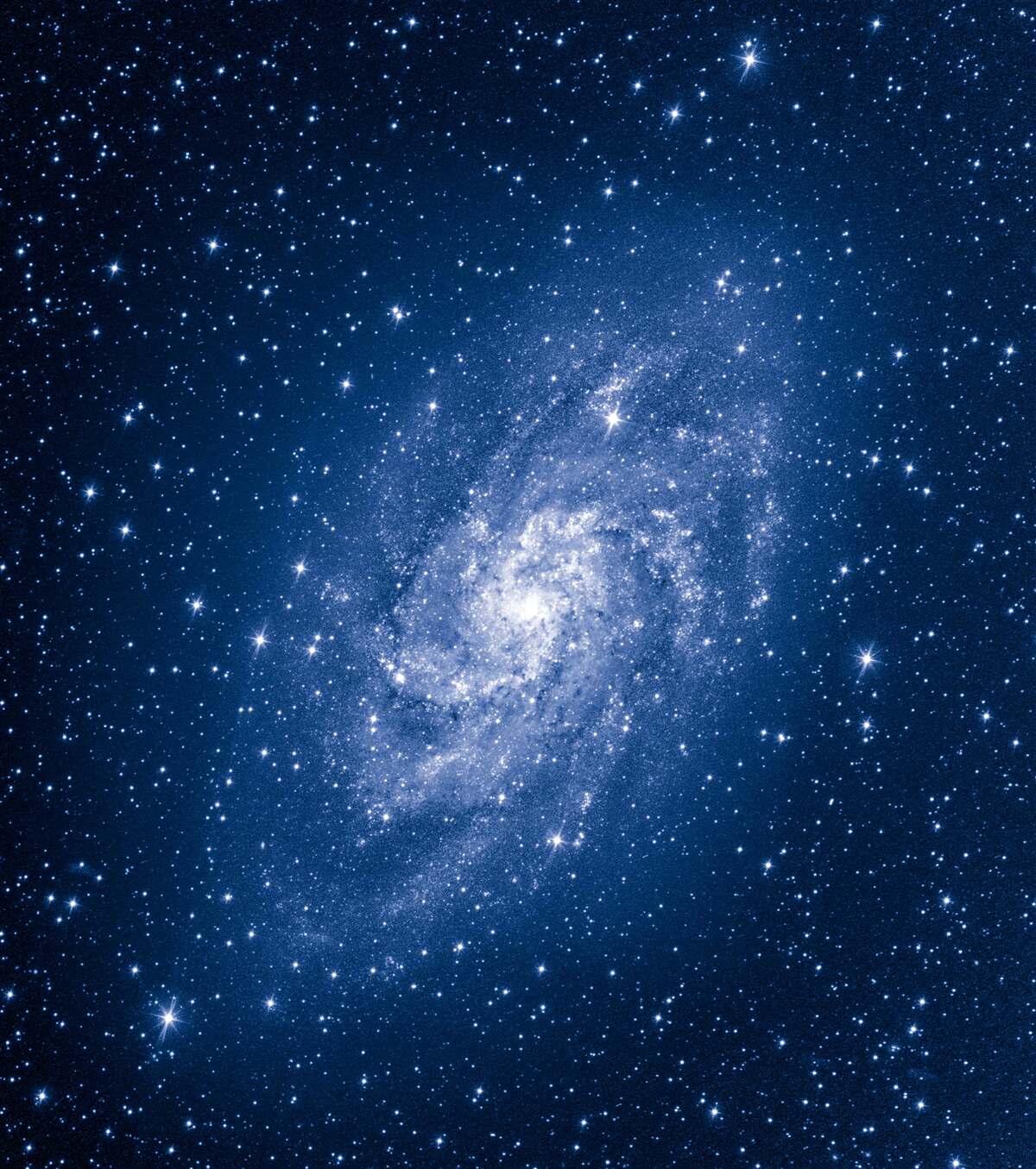 Fototapet o galaxie care conține sute de stele
