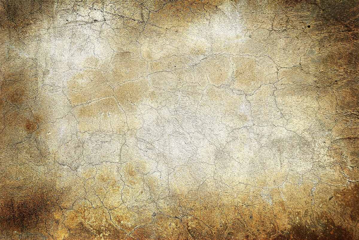 Fototapet ploaie puternică într-o pădure de toamnă