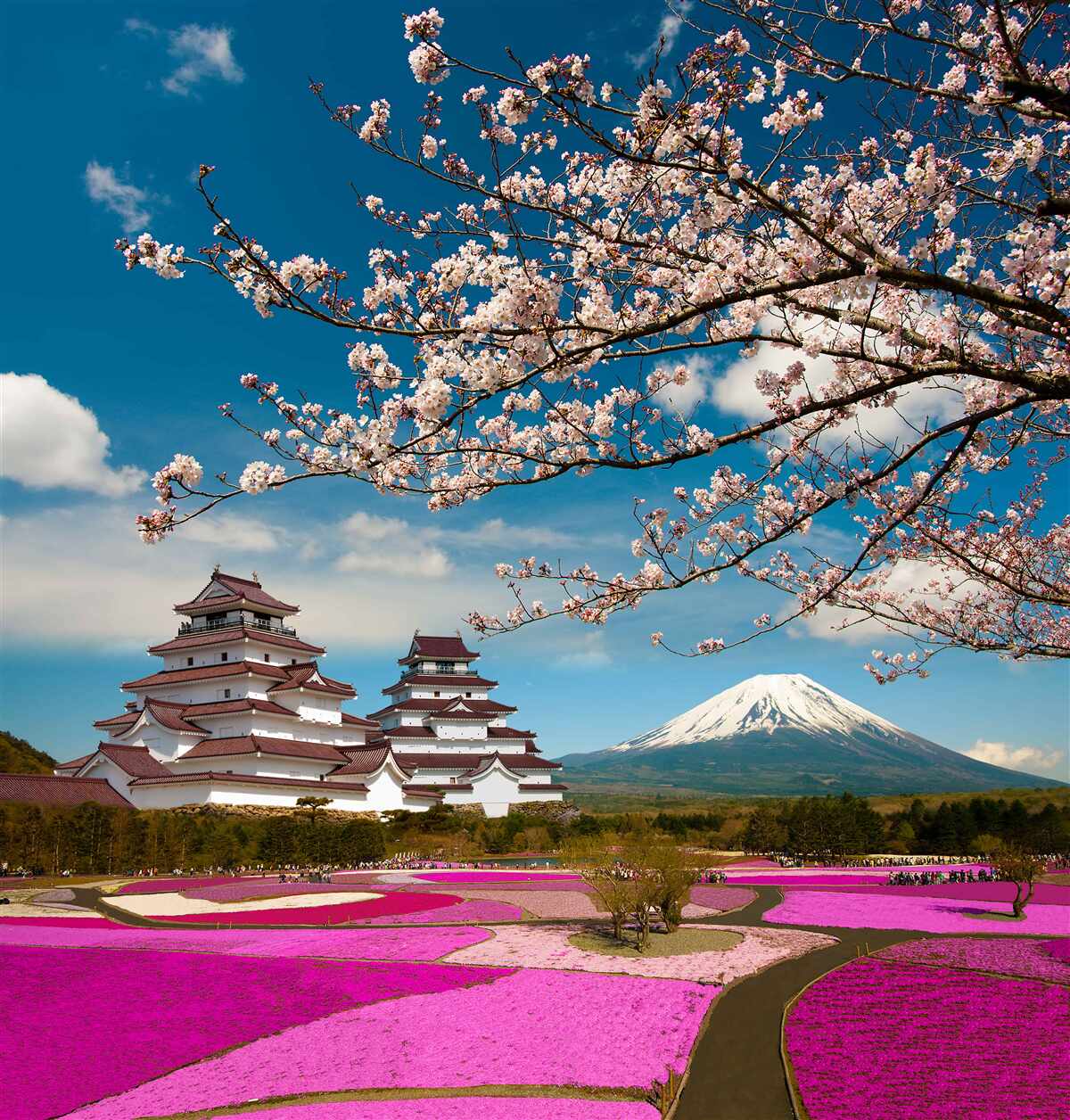 Fototapet Grădini japoneze în soare