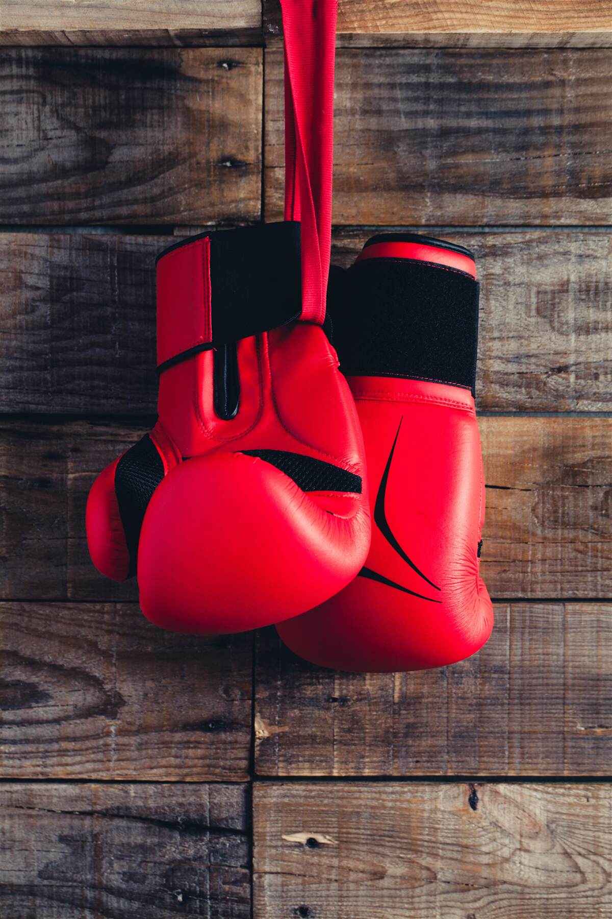 Fototapet mănuși de box roșii