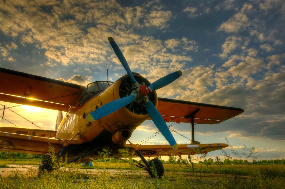 Fototapet pe câmp există un avion de epocă cu elice