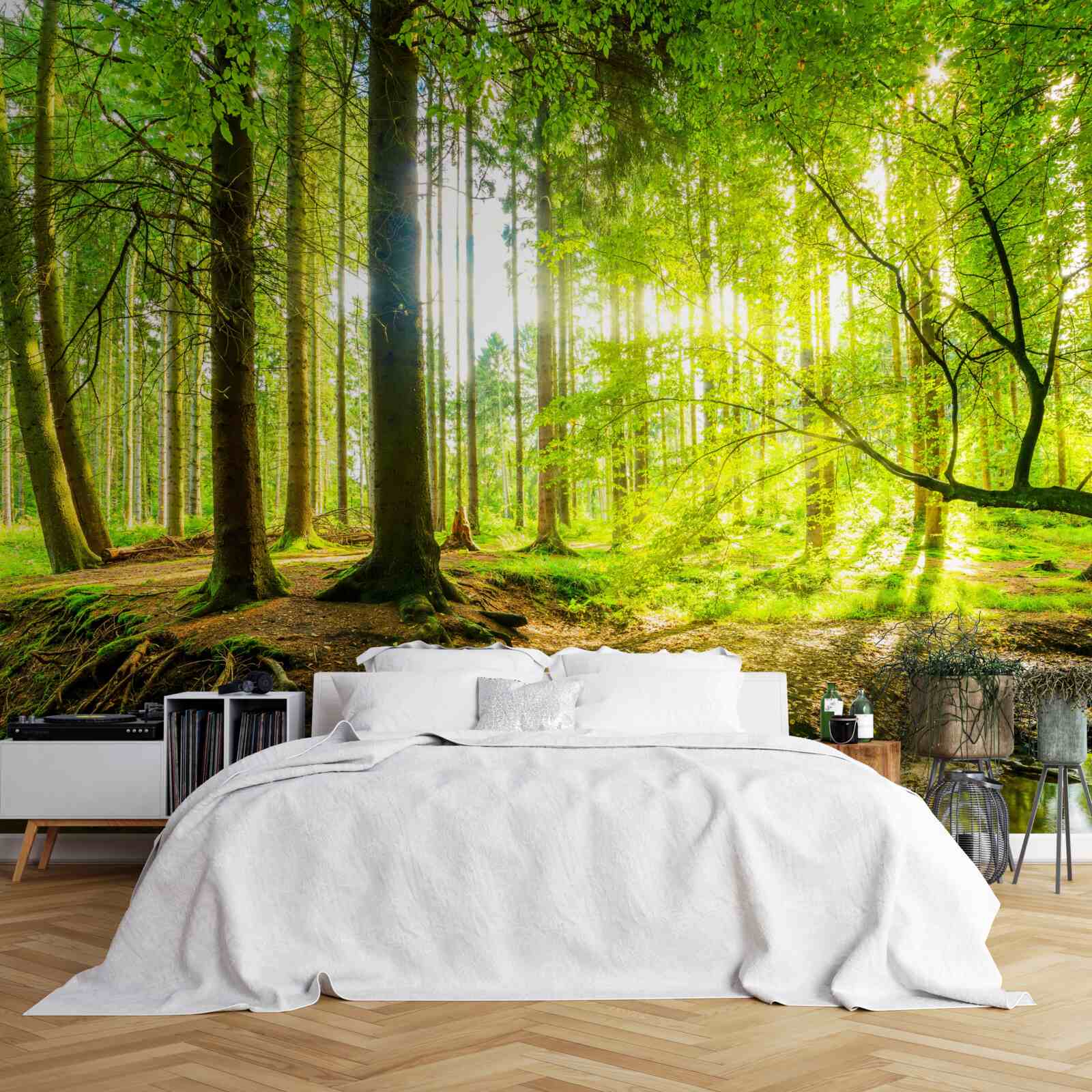 Fototapet Razele soarelui trezesc o pădure adormită