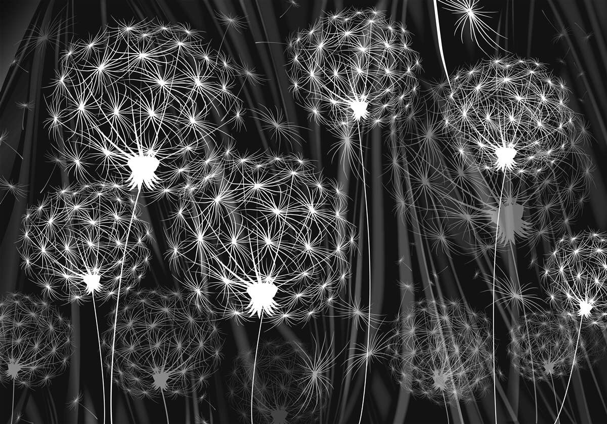 Fototapet abstracție de raze de lună pe păpădii