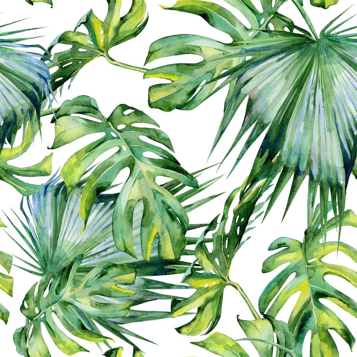 Fototapet monstera părăsește tropicele