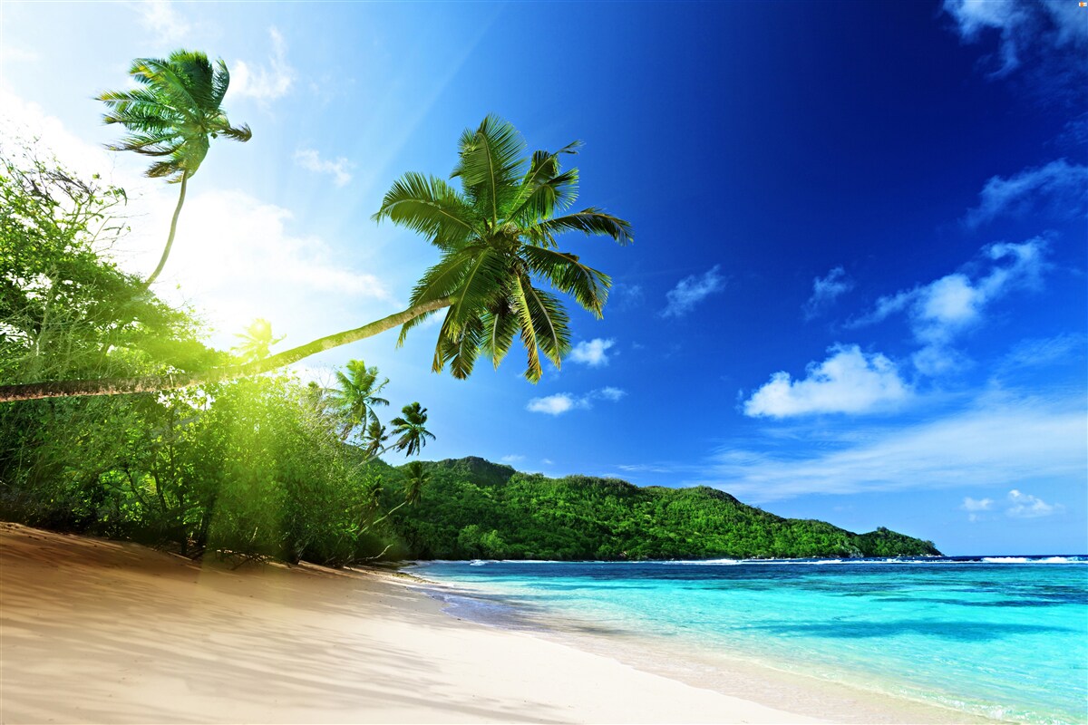 Fototapet razele soarelui răsare și luminează țărmul tropical al