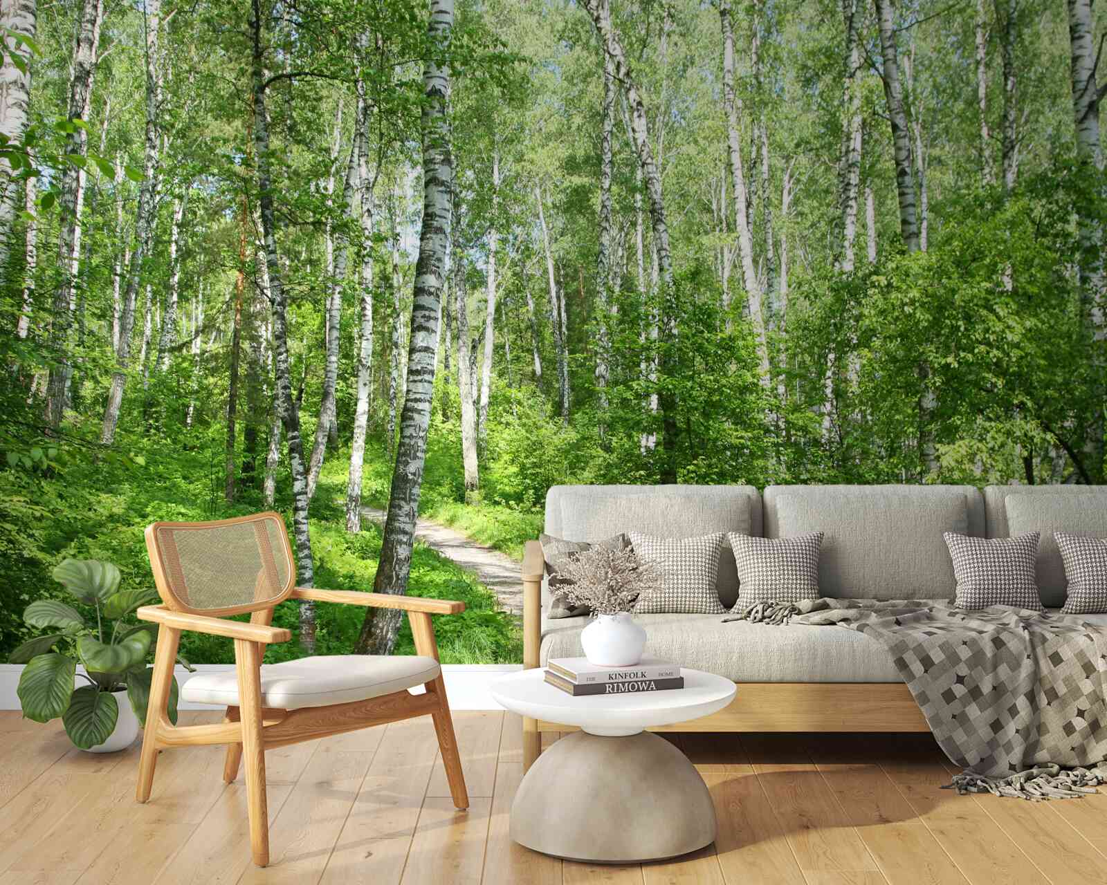 Fototapet calea spre livada de mesteacăn verde
