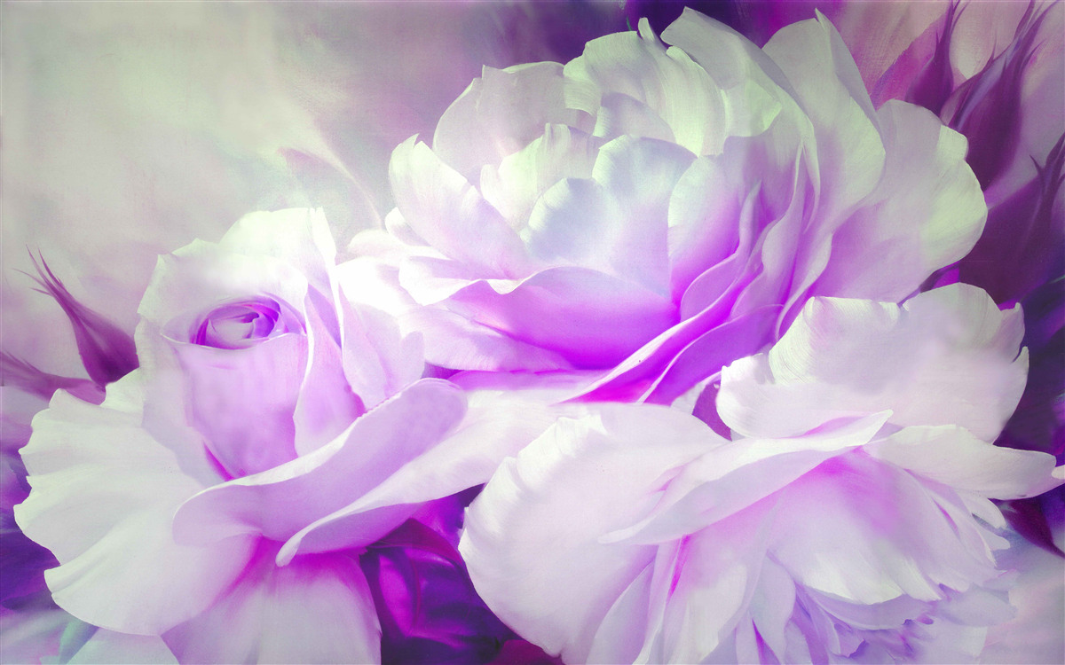 Fototapet florile sunt albe cu accente de liliac și sclipiri