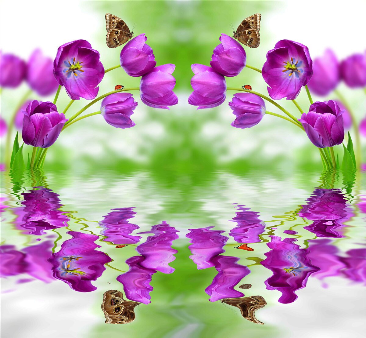Fototapet florile reflectă fluturii care se odihnesc pe ele în apă