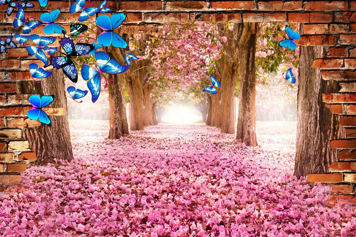 Fototapet sakura atrage fluturi cu florile sale