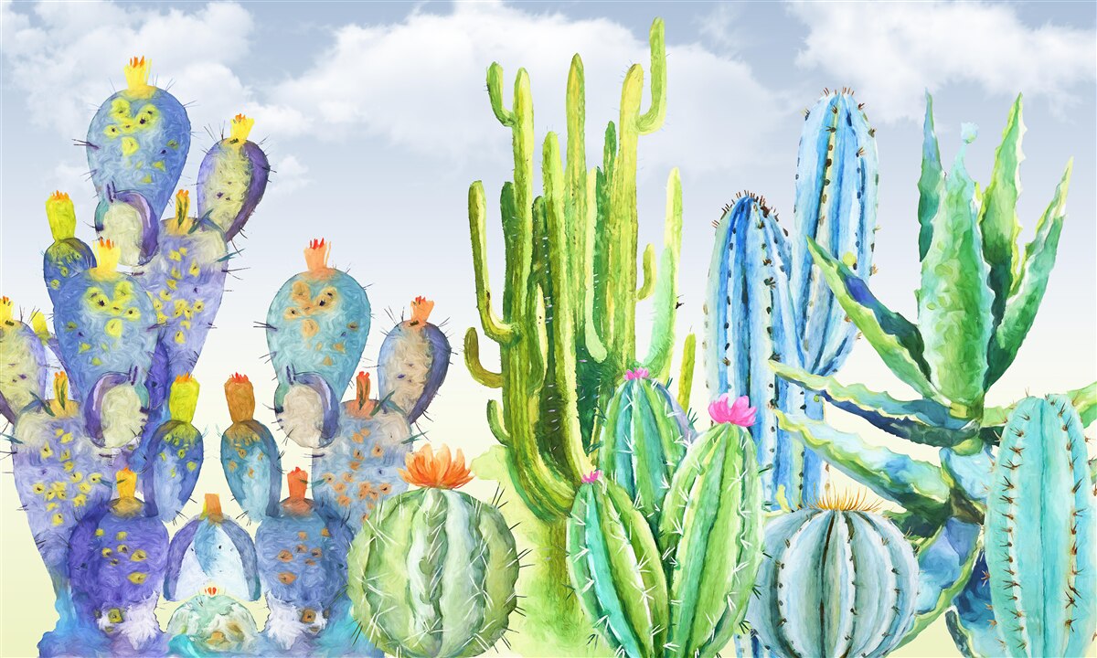 Fototapet cactuși mari în diferite culori