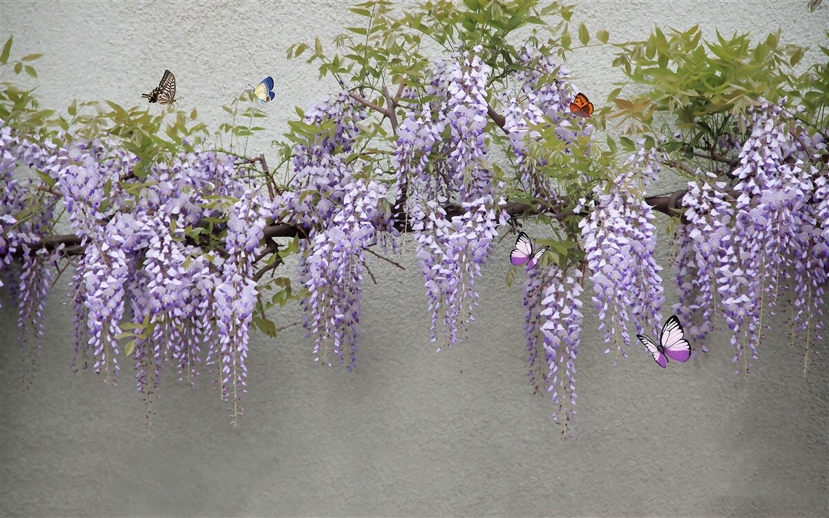 Fototapet o ramură cu flori de liliac și fluturi fluturând