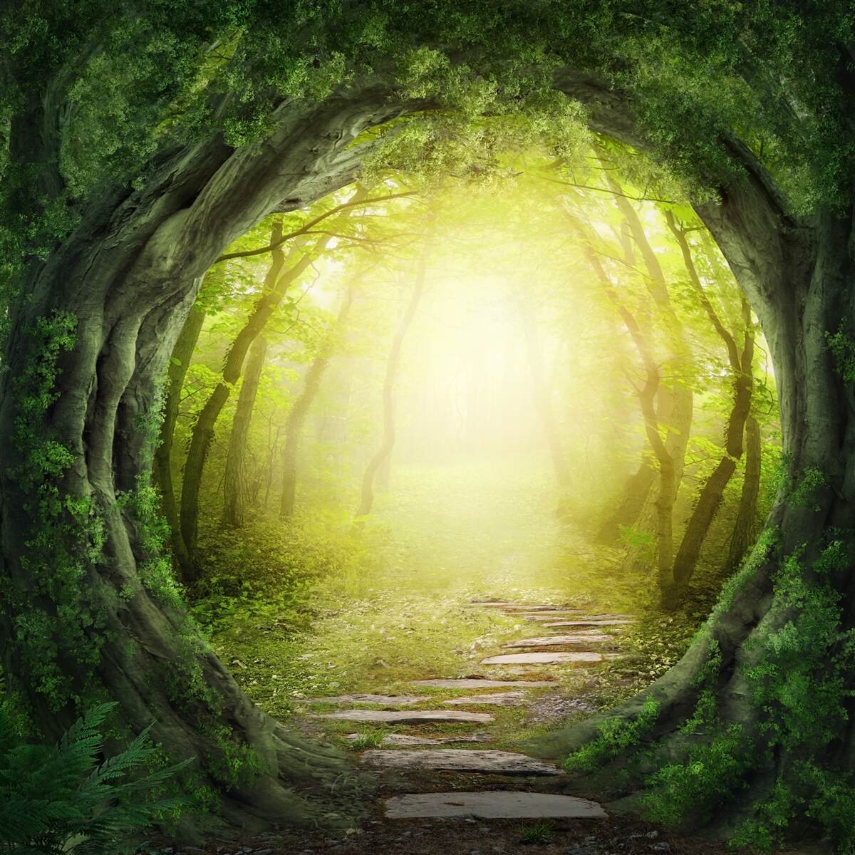 Fototapet peisaj cu pădure verde