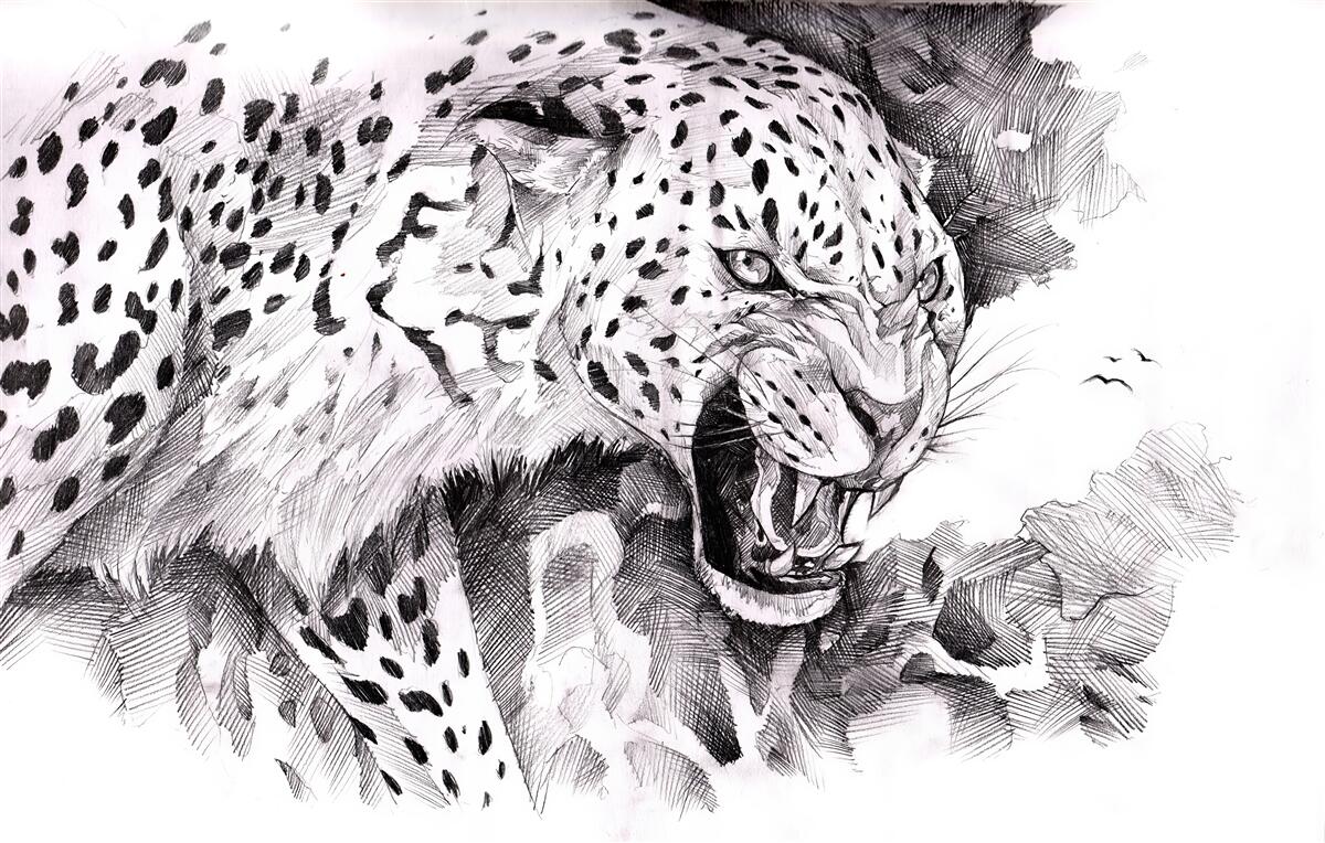 Fototapet leopard agresiv în alb și negru