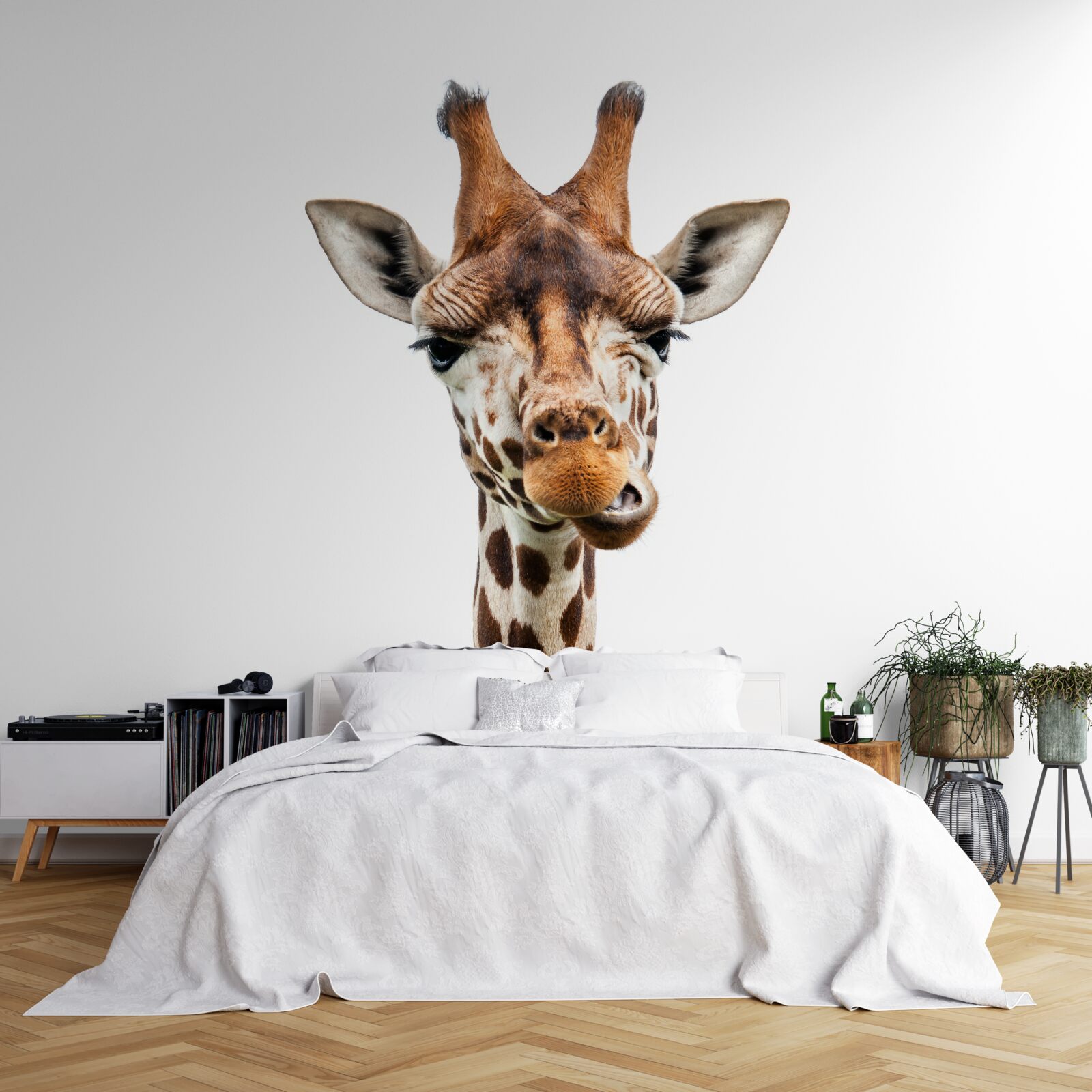 Fototapet expresie neobișnuită pe fața unei girafe