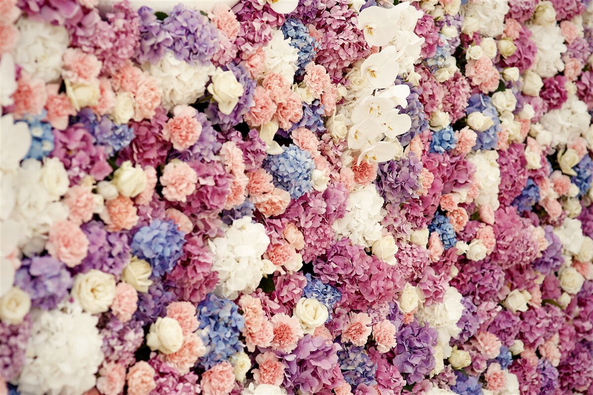Fototapet fundal de flori multicolore