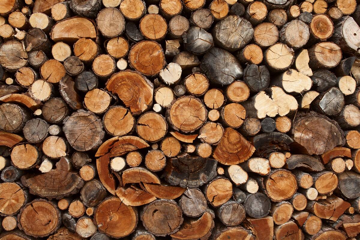 Fototapet diverse bușteni de lemn