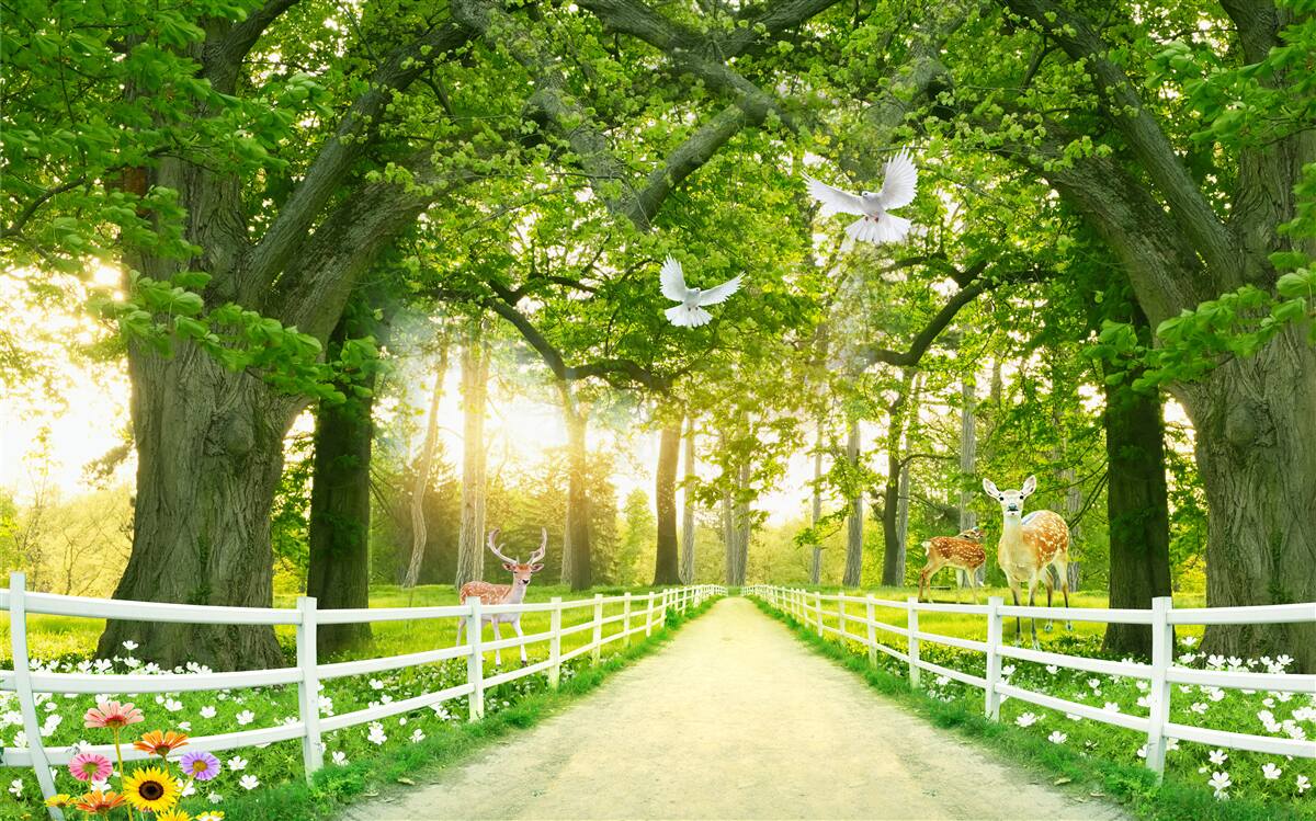 Fototapet o cale pentru plimbări romantice