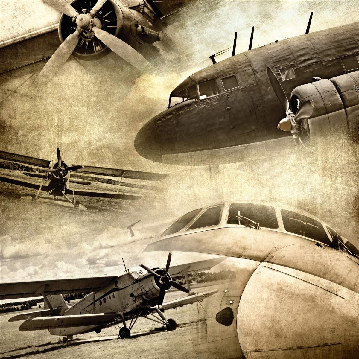 Fototapet aeronava descrisă