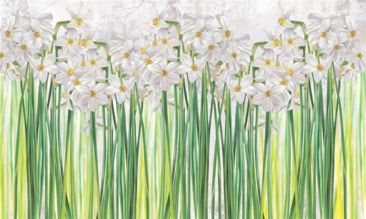 Fototapet Florile de narcisă sunt albe