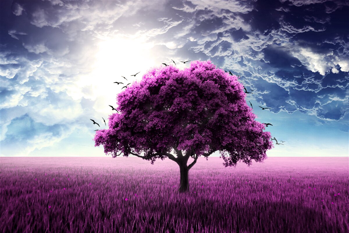 Fototapet copac cu flori de liliac