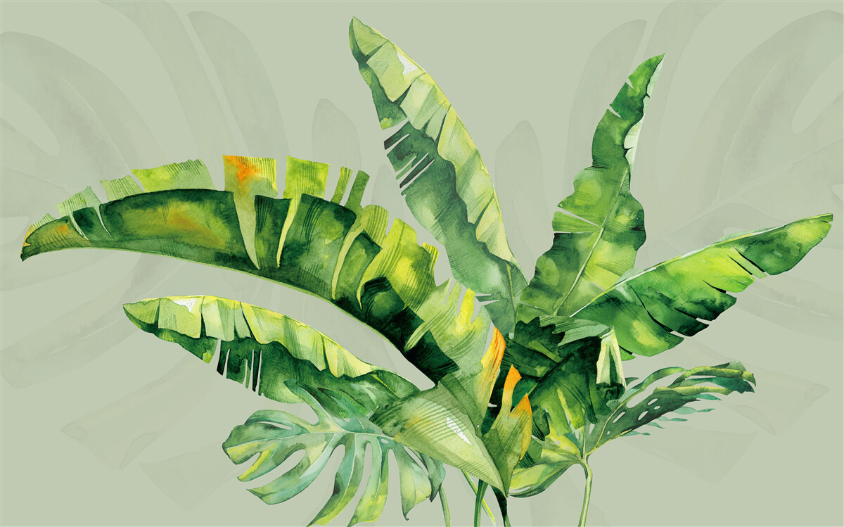 Fototapet monstera și ferigă verde