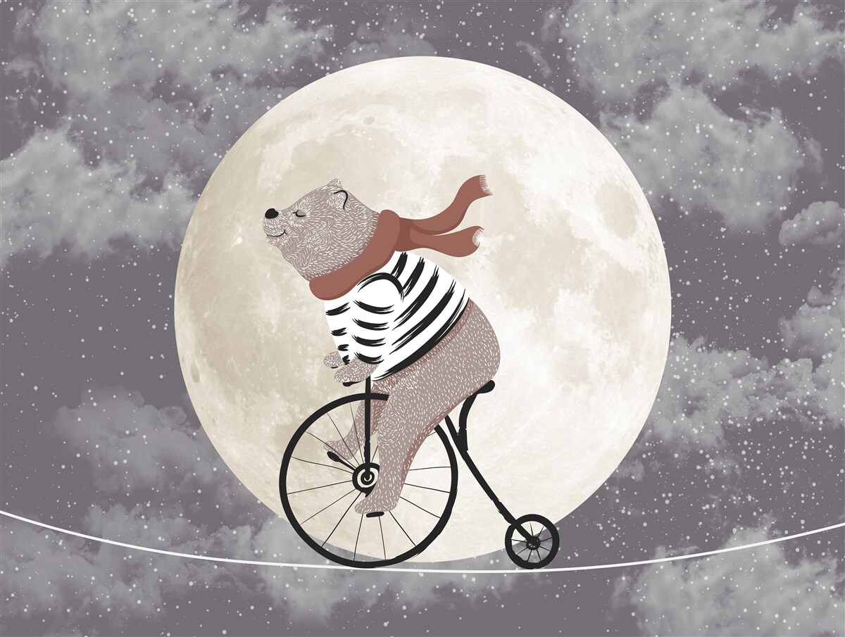 Fototapet circ panda pe o bicicletă