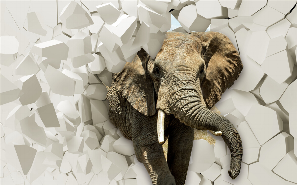 Fototapet Zid distrus de un elefant