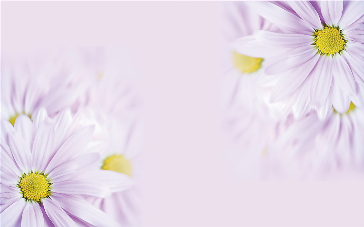 Last Product image