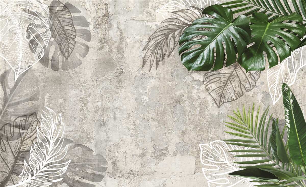 Last Product image