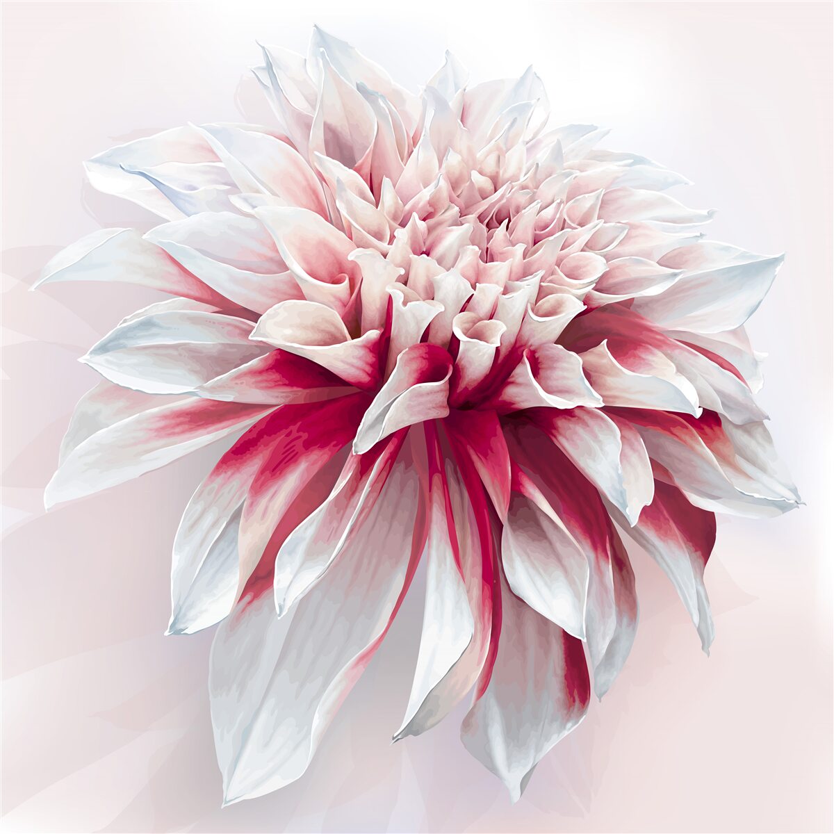 Last Product image